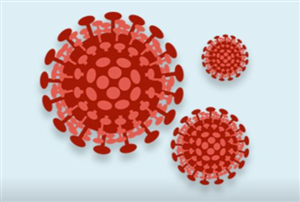 Link alle notizie relative all'emergenza Coronavirus